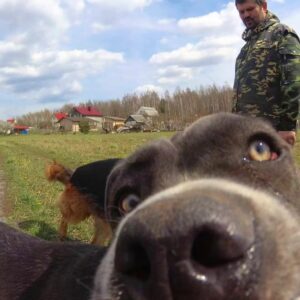 Read more about the article Команда «рядом». С какой стороны?